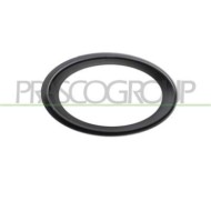 Cornice Fendinebbia Destra Per Mercedes E Class (w211/s211) Dal 2007 Al 2009