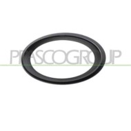 Cornice Fendinebbia Sinistra Per Mercedes E Class (w211/s211) Dal 2007 Al 2009
