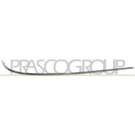 Profilo Cromato Destro Per Mercedes E Class (w211/s211) Dal 2007 Al 2009