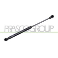ME3049055_2.JPG Molla A Gas Destra O Sinistra Portellone Posteriore Per Smart Fortwo Dal 2002 Al 2007