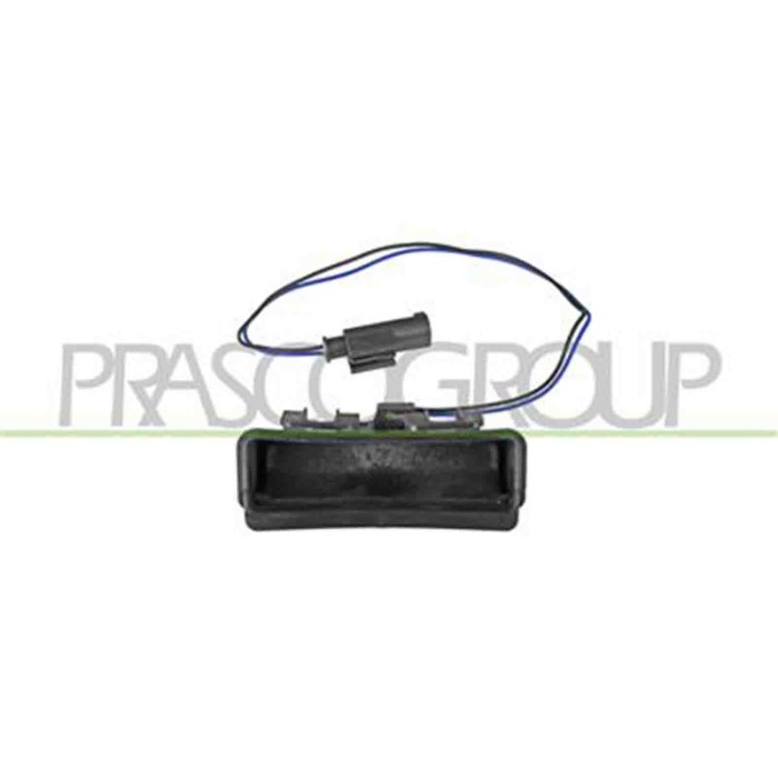 ME3058950_1.JPG Maniglia Esterna Portellone Per Smart Fortwo Dal 2007 Al 2012