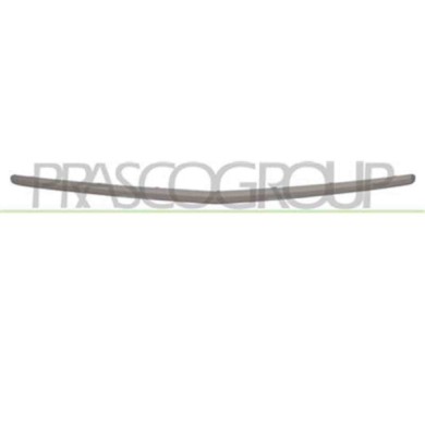 ME3261245_1.JPG Profilo Grigio Centrale Paraurti Anteriore Per Mercedes A Class (w169) Dal 2008 Al 2012