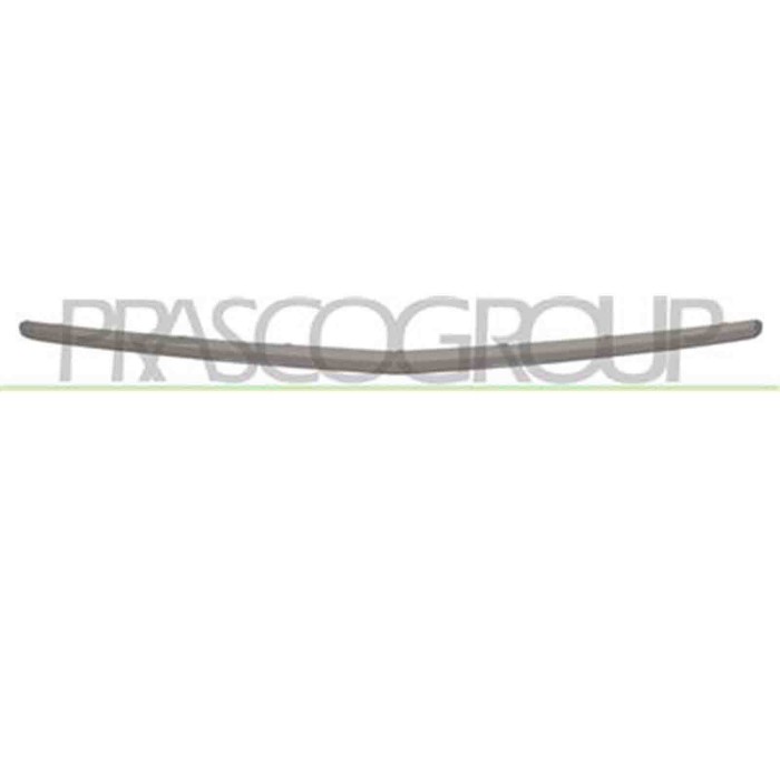 ME3261245_1.JPG Profilo Grigio Centrale Paraurti Anteriore Per Mercedes A Class (w169) Dal 2008 Al 2012