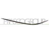 Profilo Cromato Sinistro Per Mercedes S Class (w220) Dal 2002 Al 2005