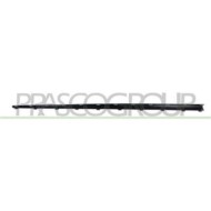 ME5301423_1.JPG Profilo Anteriore Per Mercedes S Class (w222) Amg/amg Line Dal 2013 Al 2017