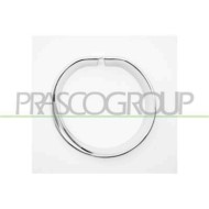 Cornice Fendinebbia Destra Cromata Per Mini Mini (bmw) Countryman (f60) Dal 2017 Al 2020