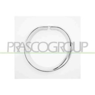 GUIDA_ALLA_SCELTA.JPG Cornice Fendinebbia Sinistra Cromata Per Mini Mini (bmw) Countryman (f60) Dal 2017 Al 2020