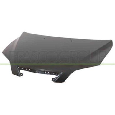 MZ3083100_1.JPG Cofano Per Mazda 2 (dy) Dal 2003 Al 2007