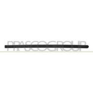 OP0301413_2.JPG Modanatura Porta Anteriore Destra Per Opel/vauxhall Corsa C Dal 2000 Al 2003