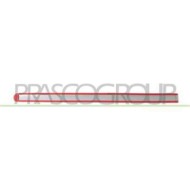 OP0301463_1.JPG Modanatura Porta Posteriore Destra Con Primer Per Opel/vauxhall Corsa C Dal 2000 Al 2003