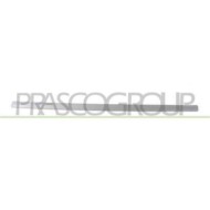 Modanatura Porta Anteriore Destra Per Opel/vauxhall Meriva Dal 2003 Al 2006