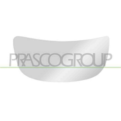 OP9327533_2.JPG Piastra Specchio Inferiore Destra Per Nissan Primastar Dal 2001 Al 2007