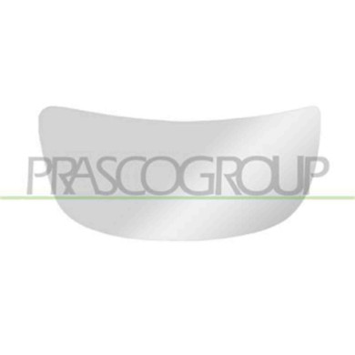 OP9327534_2.JPG Piastra Specchio Inferiore Sinistra Per Nissan Primastar Dal 2001 Al 2007