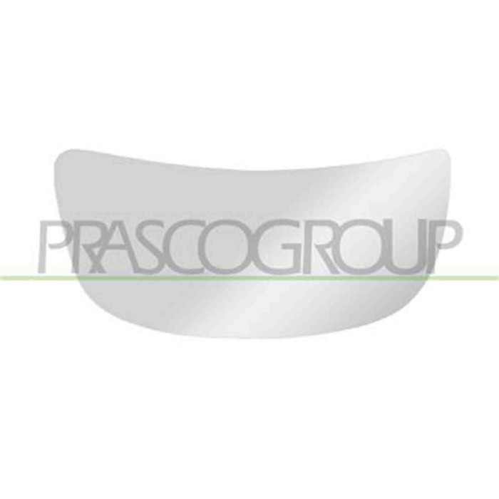 OP9327534_2.JPG Piastra Specchio Inferiore Sinistra Per Nissan Primastar Dal 2001 Al 2007
