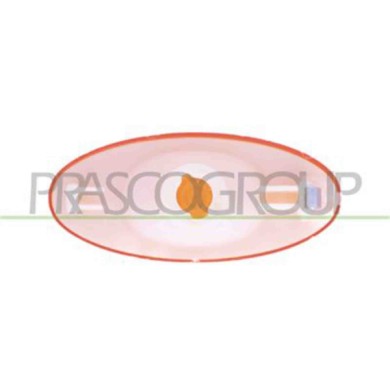 OP9544130_3.JPG Fanale Laterale Destro O Sinistro Arancio Senza Porta Lampada Per Opel/vauxhall Movano Dal 2010 Al 2014