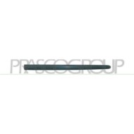 GUIDA_ALLA_SCELTA.JPG Modanatura Porta Anteriore Destra Per Peugeot 206 Dal 1998 Al 2009