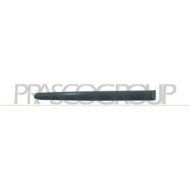 Modanatura Porta Posteriore Destra Per Peugeot 206 Dal 1998 Al 2009