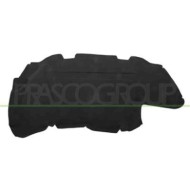 PG0091945_1.JPG Pannello Insonorizzatore Cofano Per Peugeot 206 Dal 1998 Al 2009