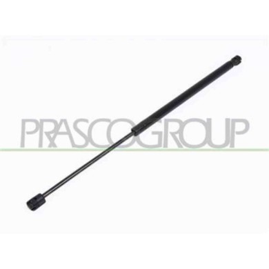 PG0099055_2.JPG Molla A Gas Destra O Sinistra Portellone Posteriore Per Peugeot 206 Dal 1998 Al 2009