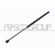 Molla A Gas Destra O Sinistra Portellone Posteriore Per Peugeot 206 Dal 1998 Al 2009
