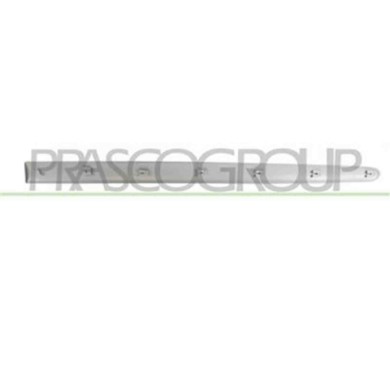 PG0111423_1.JPG Modanatura Porta Anteriore Destra Con Primer Per Peugeot 206 Plus Dal 2009 Al 2013