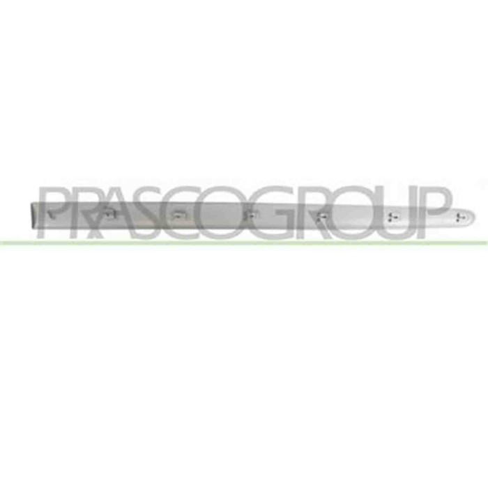 PG0111423_1.JPG Modanatura Porta Anteriore Destra Con Primer Per Peugeot 206 Plus Dal 2009 Al 2013
