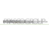 PG0111423_1.JPG Modanatura Porta Anteriore Destra Con Primer Per Peugeot 206 Plus Dal 2009 Al 2013