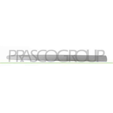 PG0111423_2.JPG Modanatura Porta Anteriore Destra Con Primer Per Peugeot 206 Plus Dal 2009 Al 2013