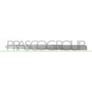Modanatura Porta Anteriore Destra Con Primer Per Peugeot 206 Plus Dal 2009 Al 2013