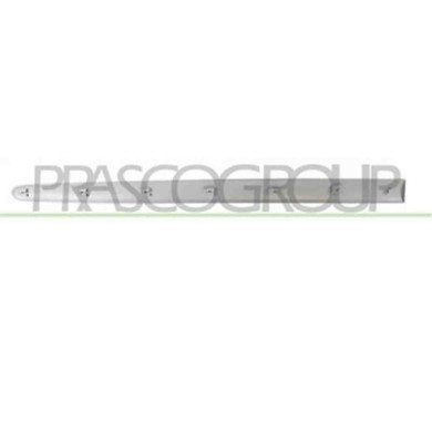 PG0111424_1.JPG Modanatura Porta Anteriore Sinistra Con Primer Per Peugeot 206 Plus Dal 2009 Al 2013