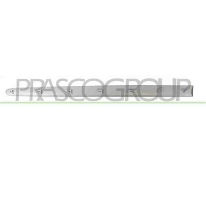 PG0111424_1.JPG Modanatura Porta Anteriore Sinistra Con Primer Per Peugeot 206 Plus Dal 2009 Al 2013