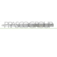PG0111424_1.JPG Modanatura Porta Anteriore Sinistra Con Primer Per Peugeot 206 Plus Dal 2009 Al 2013