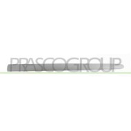 PG0111424_2.JPG Modanatura Porta Anteriore Sinistra Con Primer Per Peugeot 206 Plus Dal 2009 Al 2013
