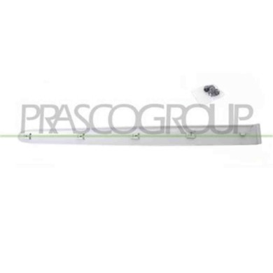PG0111463_1.JPG Modanatura Porta Posteriore Destra Per Peugeot 206 Plus Dal 2009 Al 2013