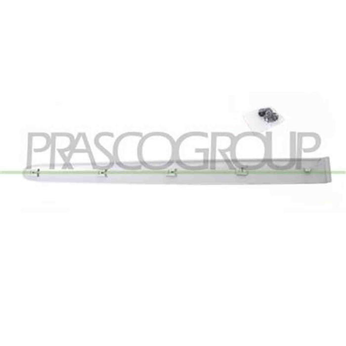 PG0111463_1.JPG Modanatura Porta Posteriore Destra Per Peugeot 206 Plus Dal 2009 Al 2013