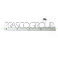 PG0111463_1.JPG Modanatura Porta Posteriore Destra Per Peugeot 206 Plus Dal 2009 Al 2013