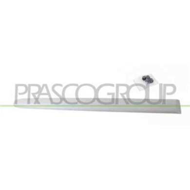 PG0111463_2.JPG Modanatura Porta Posteriore Destra Per Peugeot 206 Plus Dal 2009 Al 2013