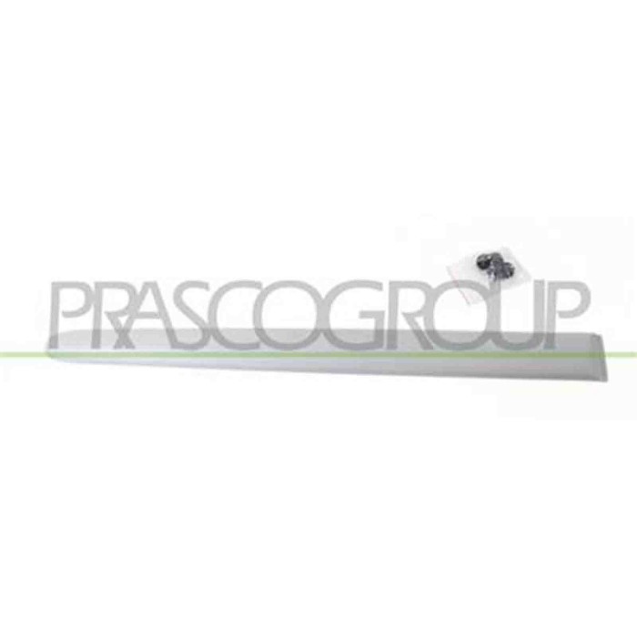 PG0111463_2.JPG Modanatura Porta Posteriore Destra Per Peugeot 206 Plus Dal 2009 Al 2013