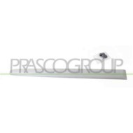 Modanatura Porta Posteriore Destra Per Peugeot 206 Plus Dal 2009 Al 2013