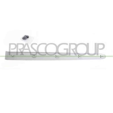 PG0111464_1.JPG Modanatura Porta Posteriore Sinistra Per Peugeot 206 Plus Dal 2009 Al 2013