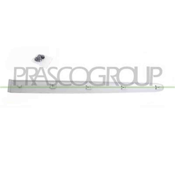 PG0111464_1.JPG Modanatura Porta Posteriore Sinistra Per Peugeot 206 Plus Dal 2009 Al 2013