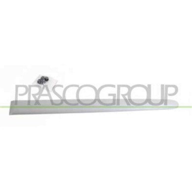 PG0111464_2.JPG Modanatura Porta Posteriore Sinistra Per Peugeot 206 Plus Dal 2009 Al 2013