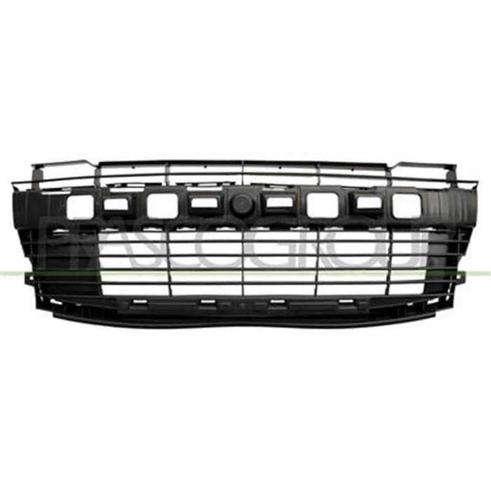 PG0112120_1.JPG Griglia Centrale Paraurti Anteriore Per Peugeot 206 Plus Dal 2009 Al 2013