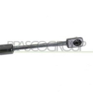PG0619055_3.JPG Molla A Gas Destra O Sinistra Portellone Posteriore Per Peugeot 407 Dal 2004 Al 2007