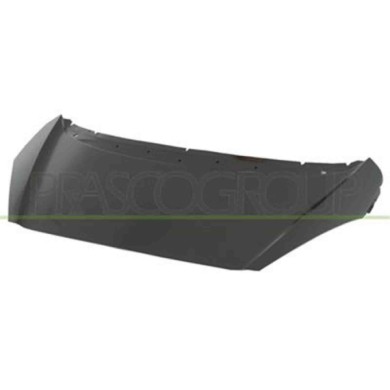 PG2203100_1.JPG Cofano Per Peugeot 1007 Dal 2005