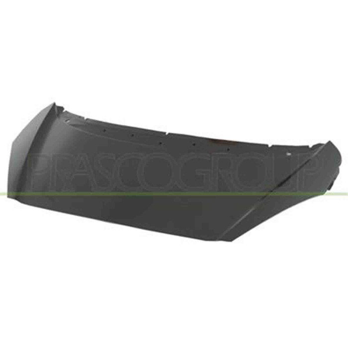 PG2203100_1.JPG Cofano Per Peugeot 1007 Dal 2005