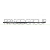 PG3269055_3.JPG Molla A Gas Destra O Sinistra Portellone Posteriore Per Peugeot 208 Dal 2012 Al 2015