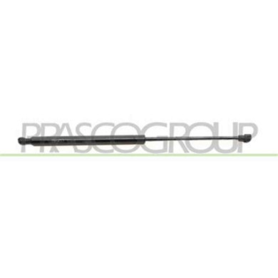 PG4209055_1.JPG Molla A Gas Destra O Sinistra Portellone Posteriore Per Peugeot 307 Dal 2001 Al 2005