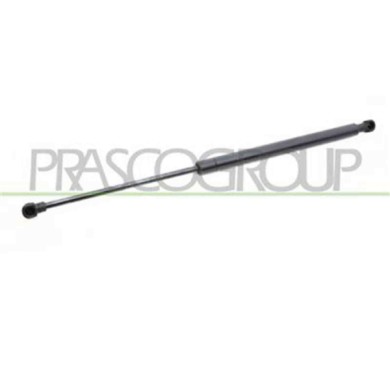 PG4209055_2.JPG Molla A Gas Destra O Sinistra Portellone Posteriore Per Peugeot 307 Dal 2001 Al 2005