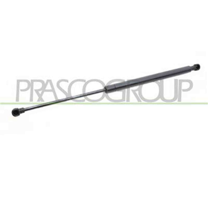 PG4209055_2.JPG Molla A Gas Destra O Sinistra Portellone Posteriore Per Peugeot 307 Dal 2001 Al 2005